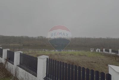 Teren intravilan de vanzare cu deschidere la lac, Branesti - 3