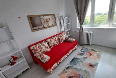 Apartament decomandat, panorama parc IOR, etaj 9, renovat - 5