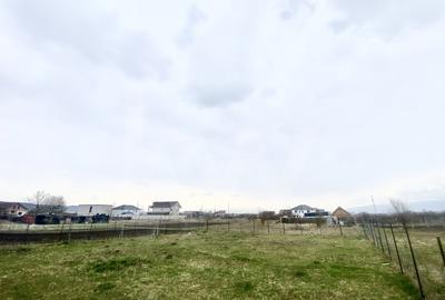 Teren de casa individuala de vanzare Sibiu 500mp PUZ 20mp deschidere - 3