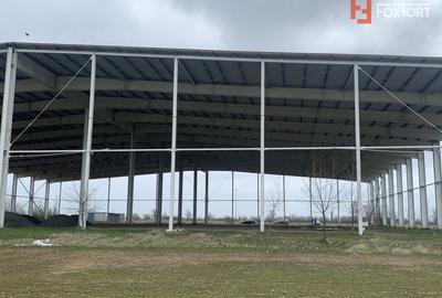 COMISION 0% Hala industriala 5500 mp utili zona de Nord Timisoara - ID V5143 - 5