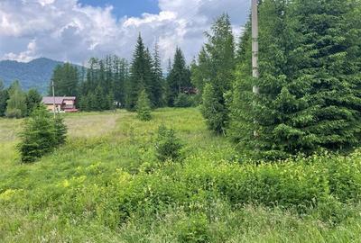 Teren pentru casa de vacanta/pensiune - Cheia - Maneciu - 1