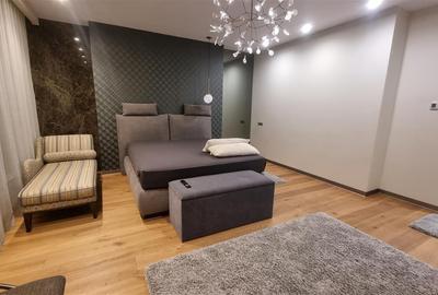 Apartament premium de 3 camere la vila zona Drumul Poienii - 6