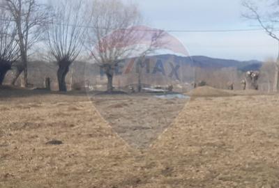 Teren 10,279 mp Bran- Predelut / Strada Pe Tarina nr. 70A - 4