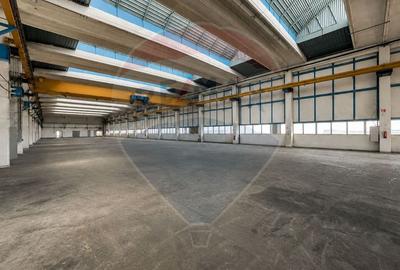 Hala Industriala cu Pod Rulant | Platforma IAR Brasov | Acces Logistic - 4