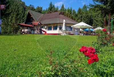 Resort Montan & Oportunitate de Investiție – Poiana Sărată - 15