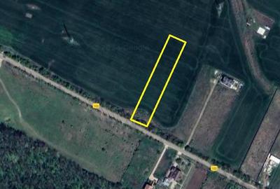 Teren Construcții intravilan de 2500 mp, în Sud