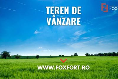 COMISION 0% Teren extravilan Mosnita in zona de Padurea Bistra - 66.667 mp - 3