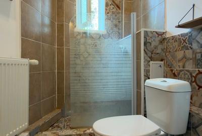 2-BEDROOM APARTMENT FOR RENT – QUIET CENTRAL AREA (CISMIGIU) - 18