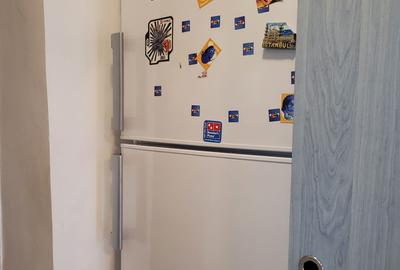 Dristor, garsoniera langa Kaufland, 5 minute metrou, PET FRIENDLY - 11