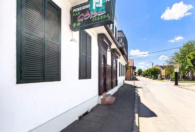 Pensiune 18 Camere cu Restaurant - Cetatea Oradea - 29