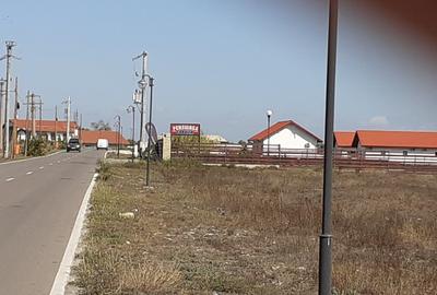 IN INIMA DELTEI-INTRAVILAN MURIGHIOL: 2000mp / case de vacanta/pensiunii - 2