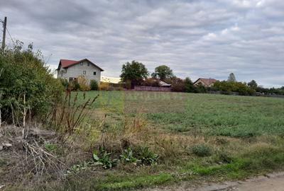 DE VANZARE TEREN 2000 MP  -  COSERENI( il ) - 5