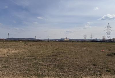 TEREN INTRAVILAN DE VANZARE, 587 MP ZONA AREX, ALBA IULIA - 3
