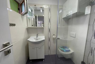 Apartament la casa | Calea Poplacii | Langa Parcul Sub Arini - 7
