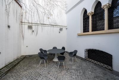 Historical villa Gradina Icoanei area - 13