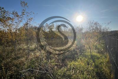 Teren intravilan de vanzare | 12.650 mp | Ghirdoveni, | Comision 0% - 13