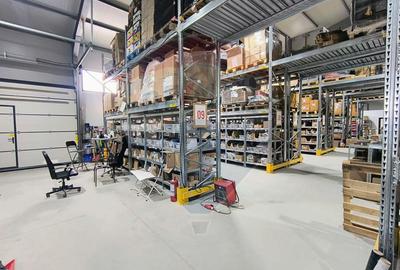 2 Hale industriale noi | 539 mp fiecare |  Moara Vlasiei - 4