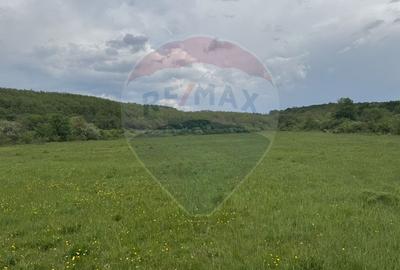 Proprietate OFF-GRID 5,76 Ha. Casa tradiționala lemn. Limită Cluj - 8