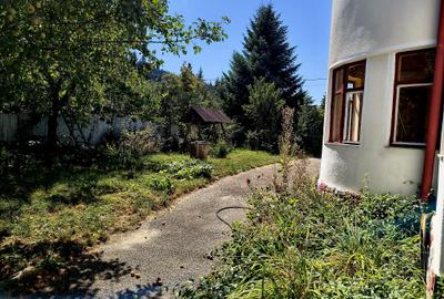 Oportunitate Investitie, casa de vacanta Bradet-Brasov - 4