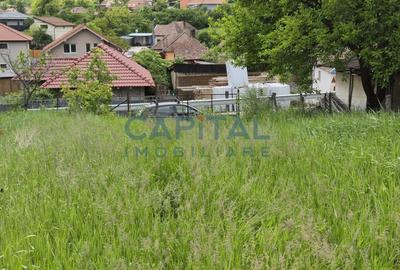 Teren intravilan, 1663 mp, central Dezmir - 5