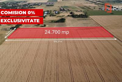 COMISION 0% Teren de vanzare intravilan de 24.700 mp - Padureni - 1