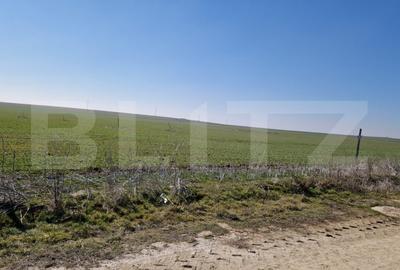 Teren intravilan cu o suprafata 1500 mp in zona Metro - 1