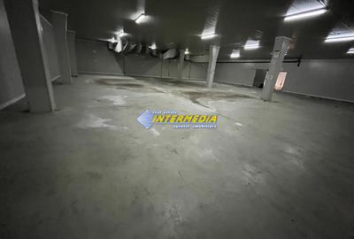 HALA DE INCHIRIAT I 2100 MP I ALBA IULIA I ZONA CENTRU I - 5