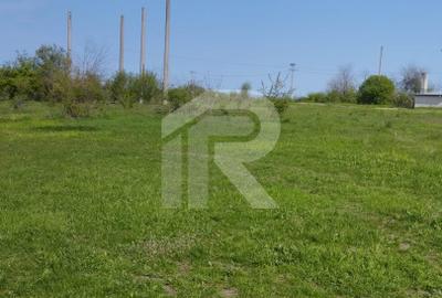 Teren intravilan de vânzare – Grădiștea, Ilfov, Aleea Primăriei - 15