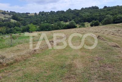Teren agricol extravilan de 15600 mp, în Hamba