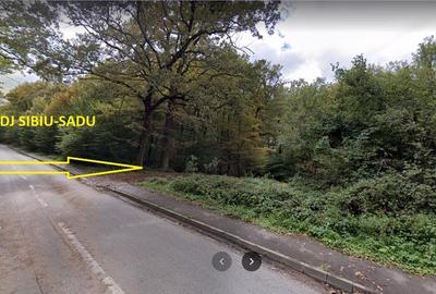Teren intravilan la liziera padurii Cisnadie -Tocile,14.100mp cu PUZ - 4