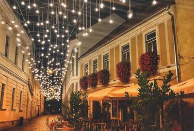 Spatiu comercial - alimentatie publica - de vanzare  - Piata Muzeului - 1