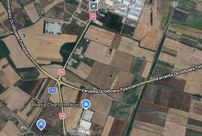 Calea Sagului - Teren industrial - Front la DN 59 230m- 1.7 Ha - 1