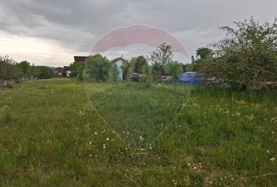 Teren 1,816mp Sighetu Marmatiei / Strada Ion Ghica - 8