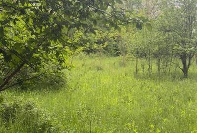 Teren Intravilan de Vânzare Cornu, Prahova | 50 €/mp - 5