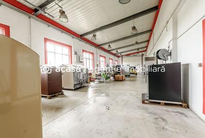 Hale depozitare/producție 2.000 mp si 10.000 mp teren în Pecica - 10