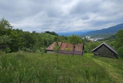 Domeniu Premium 1.7 Ha Intravilan Zărnești | Lizieră Pădure | Ideal Resort - 6