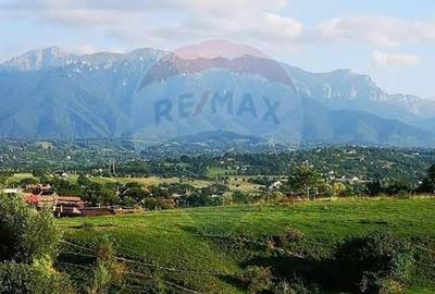 Teren 4,145mp Predelut / Strada Magurii - 1