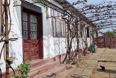 CASA TRADITIONALA IN HORIA -ARAD