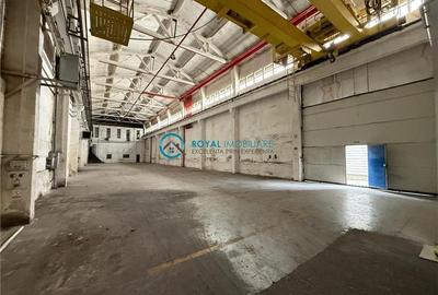 Royal Imobiliare - Inchiriere spatiu industrial zona Vest - 2