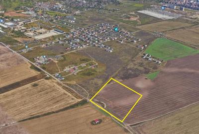 Vanzare teren 26100 mp Magurele - Atomistilor - 4