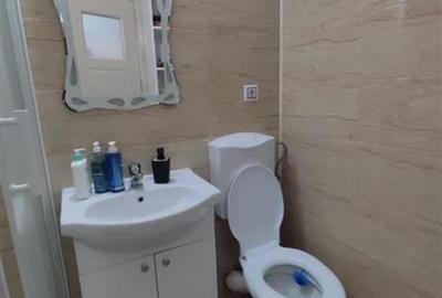 Vanzare Apartament 2 Camere Decomandat Giurgiului-Al.Dolina - 7