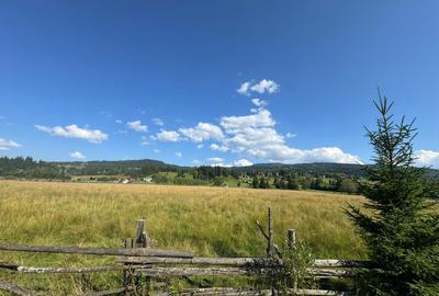 Vanzare 33400 parcelat- 18 loturi - Plaiul Sarului la sosea- microdezvoltare - 1