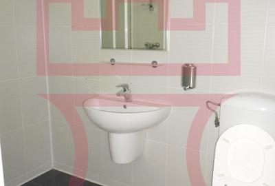 Spatiu de birouri de inchiriat ultracentral langa magazinul Central - 7