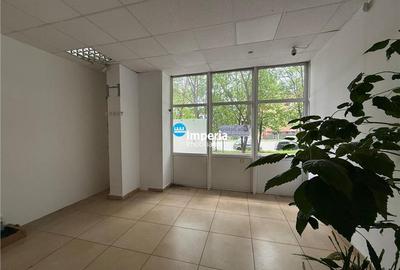 Spatiu de inchiriat,48 mp,stradal,sos Nicolina - 2