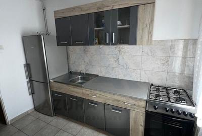 Apartament 3 camere 70 mp Terezian - 10