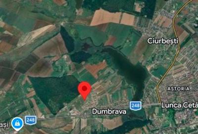 Teren de vânzare dumbrava ciurea iasi - 1