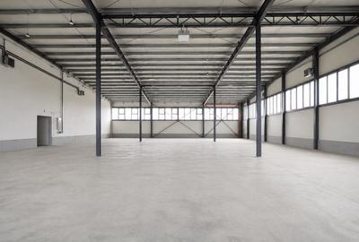 Hala noua de inchiriat, Parcul Industrial III, Uzinelor, Oradea, Bihor - 1