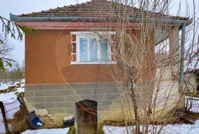 Casa cu 2 camere si teren 4887mp de vanzare in Dabaca - 4