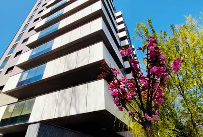 Cortina Academy |  2 CAMERE  | 60 MP  | Priveliste spectaculoasa | - 2