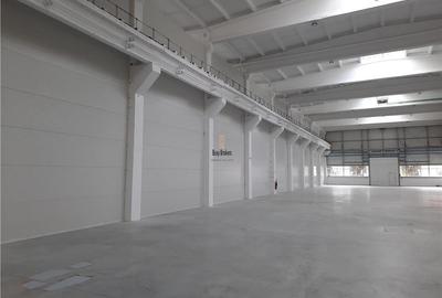 Spatiu Industrial - 1300 mp - Productie - Depozitare - Distributie - 4